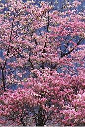 《天外世界2》！Game Pass 10月下旬游戏公开